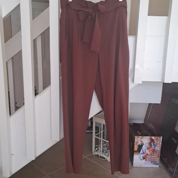 Athleta Skyline 2 Brick colored Quickdry Pants w built in belt sz10 EUC - Picture 2 of 8
